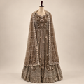 Royal Brown Embroidered Net Gown